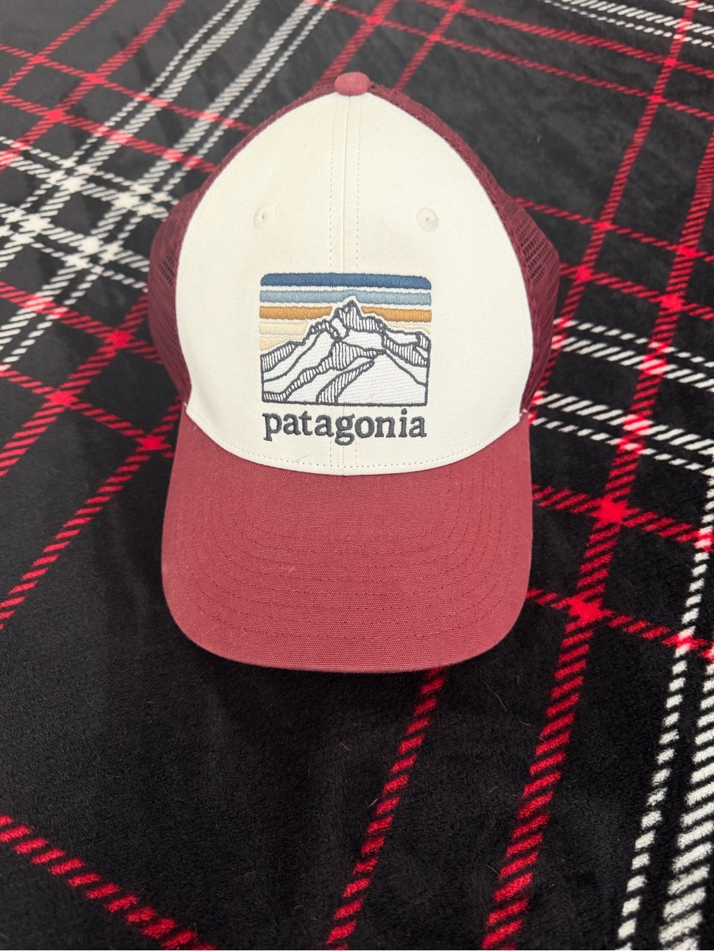 Patagonia Trucker Hat Mountains Graphic Mesh Back